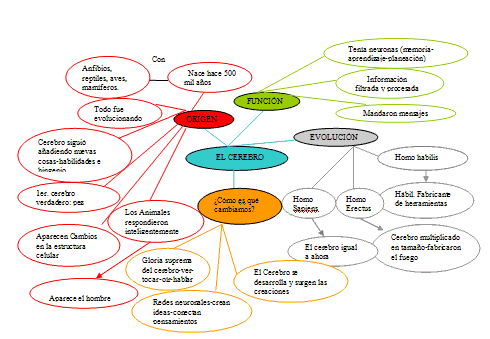EL CEREBRO